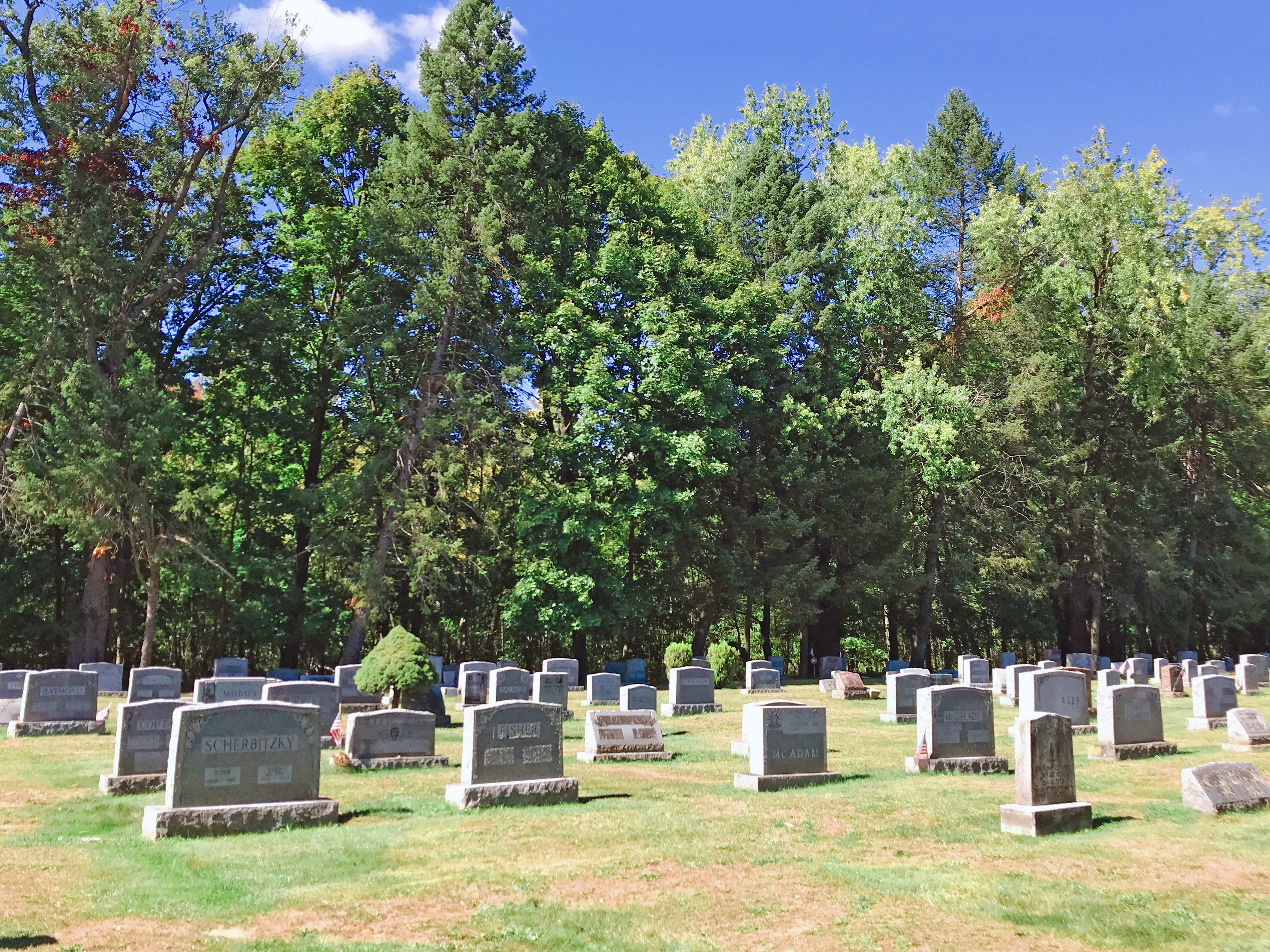 Cemetery View 1